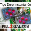 Tige Dure Instantanée 15